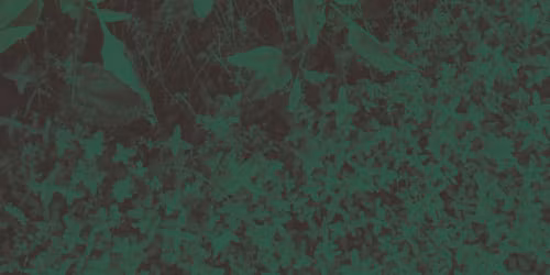 Basia Bulat in Montr\u00e9al