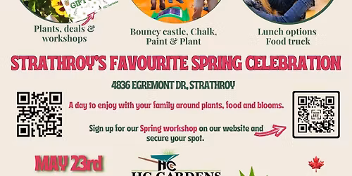 Plants, Pots and Pansies