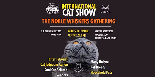 International Cat Show 