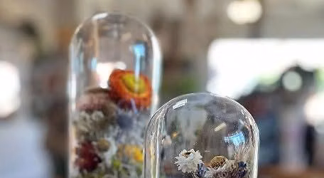 Botanical Cloche Workshop 6\/28 11a