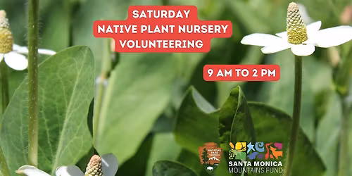 FREE PLANT SATURDAYS! - Native Plant Nursery Volunteering