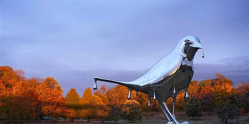 Shelby Park Wellness Walk