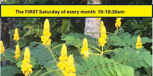 December Plant Exchange at Veterans Memorial Park 20449 Edgewater Dr Port Charlotte