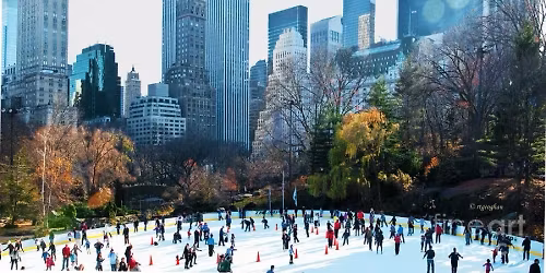 Ice skating at Wollman rink