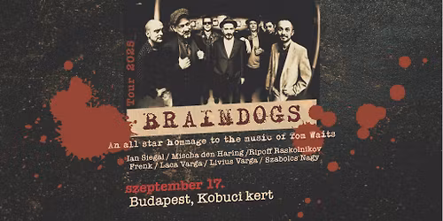 Braindogs - KOBUCI