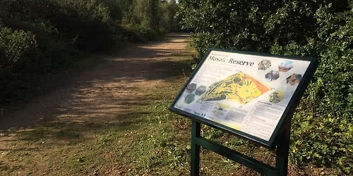 Spooky Halloween Trail