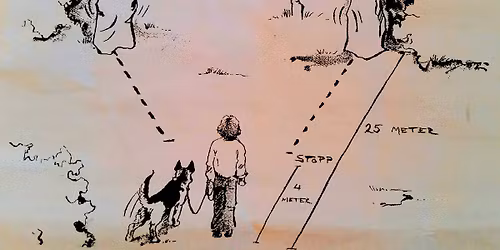 Mentalbeskrivelse hund (MH)