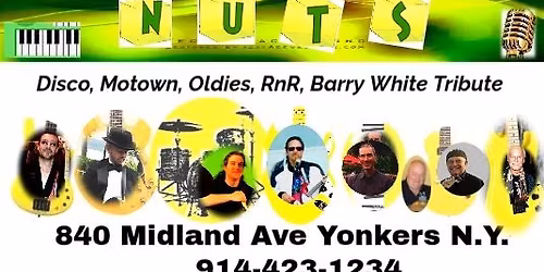 Just Nuts Band at Tara Bar Yonkers Fri. March 13th 8pm