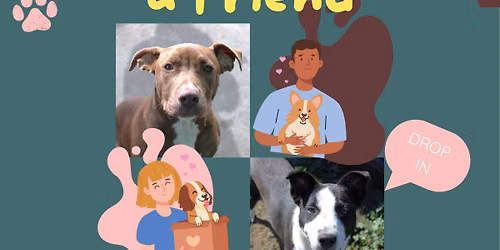 Fetch a Friend