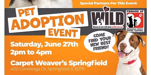 Adoption Event @ Carpet Weavers