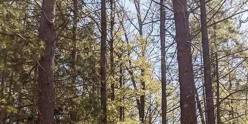 Hike at Genevieve Casey Nature Sanctuary
