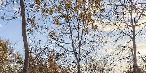 Osborn MetroPark parkrun #165