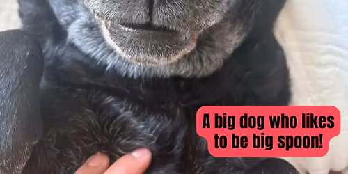 Kona's Semi COED 4's Grass Tournament 