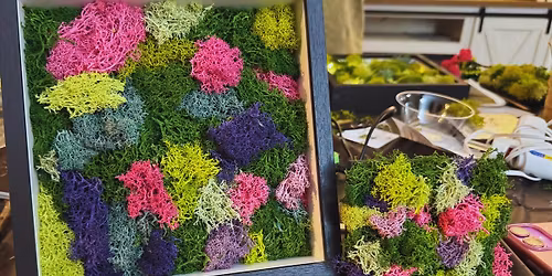 Moss Art at the Cottage