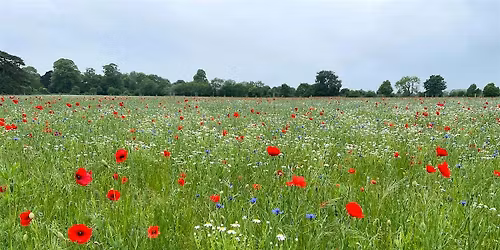 Wiltshire and Swindon Local Nature Recovery Partnership Forum