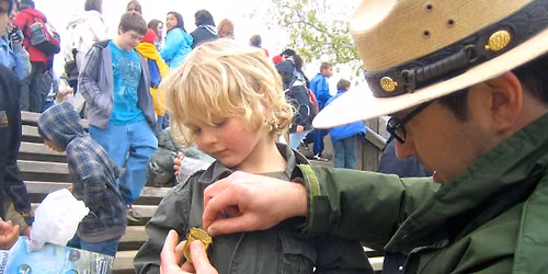 Family Junior Ranger Hour