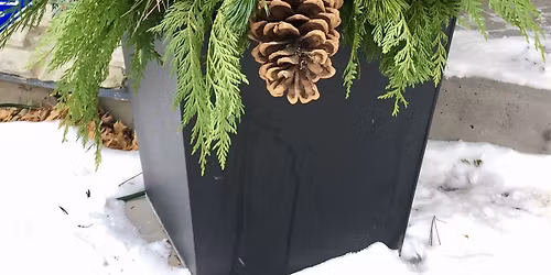 Evergreen Porch Pots