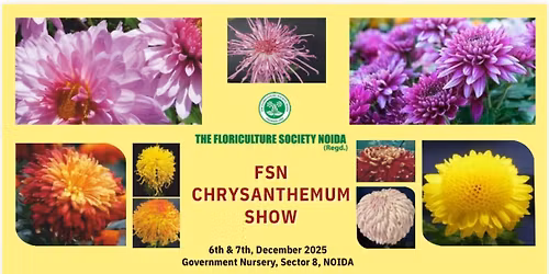 Chrysanthemum show Noida 