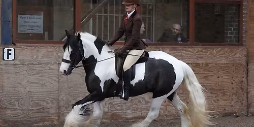 Bold Heath Winter Showing Show - Sunday 15th March