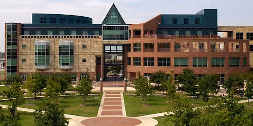 The Wellness Blueprint: Solutions Across Maslow's Hierarchy Pyramid