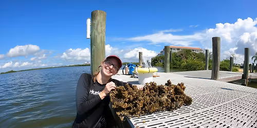 Living Docks and Oyster Mat Making Workshop with Dante Romero