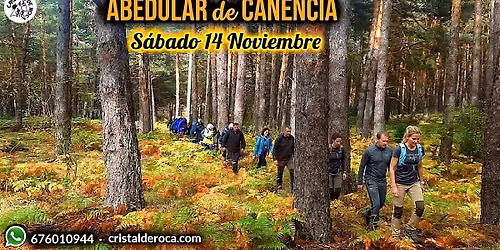 Abedular de Canencia en Oto\u00f1o\ud83c\udf42