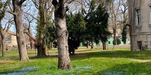 Fr\u00fchlingskonzert