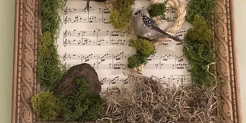 "Nest & Notes" \u2013 Upcycled Bird Nest Frame Art Workshop