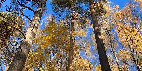 Naturpust p\u00e5 Sognsvann