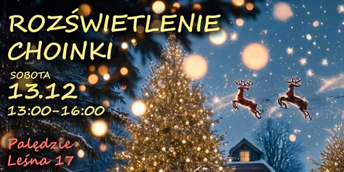 Roz\u015bwietlenie choinki w Pal\u0119dziu