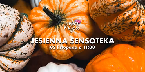 Jesienna Sensoteka w Olowym Dobrym Miejscu!