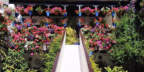 Guided tour of the Courtyards of C\u00f3rdoba - Spanish