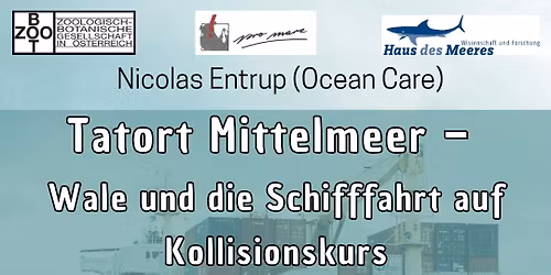 Tatort Mittelmeer - Wale und die Schifffahrt auf Kollisionskurs