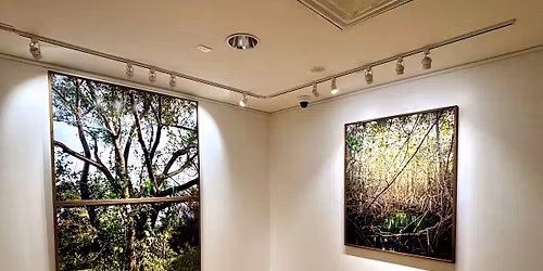 Mamoris 2 Artist Talk