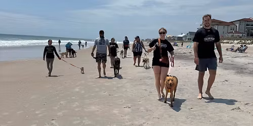 Pack Walk \/ AKC Fit Dog 