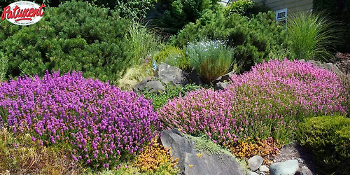 Drought-Tolerant Dream Garden Seminar