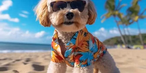 Dog Days of Summer - A joyful little summer gathering for dogs and their humans