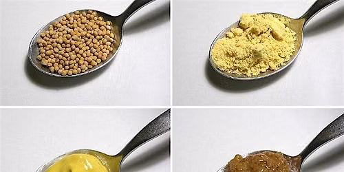 Micro Class: Mustard\u2014History, Craft, Tasting, and Pairings, $50