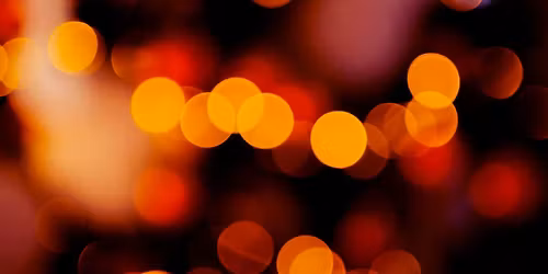 Nature and Bokeh and Backlighting\/ Still Life