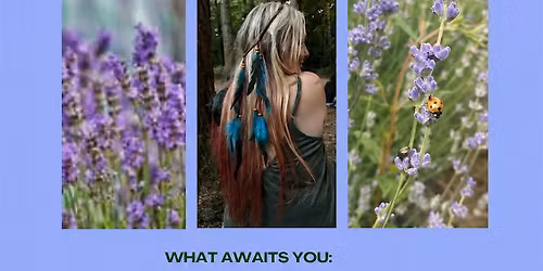 Gower Lavender Frequency Healing & Nidra Sound Bath