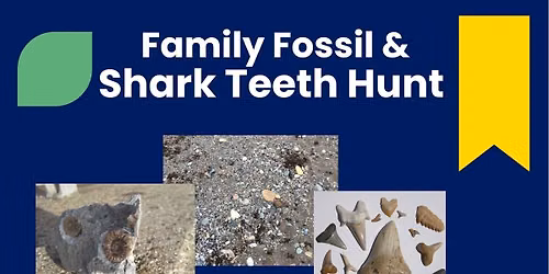 Family Fossil & Shark Teeth Hunt