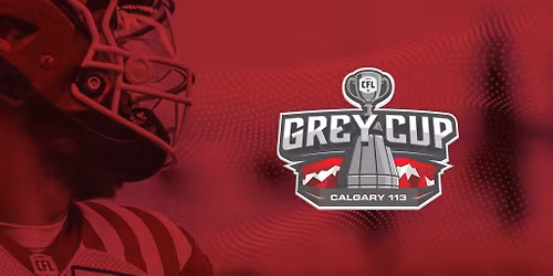 113th Grey Cup
