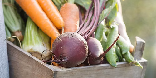 Fall Vegetable Gardens Tour