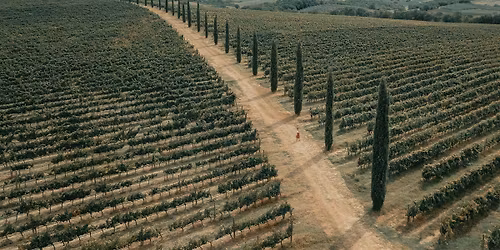 "Italienischer Abend \u2013 Vino & Dolce Vita im Maison\u201c
