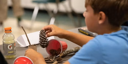 Play & Create: Wild Winter Edition