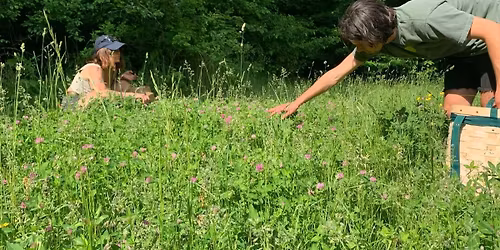  FREE 1ST Session - Community Gleaning and Wildcrafter\u2019s Guild