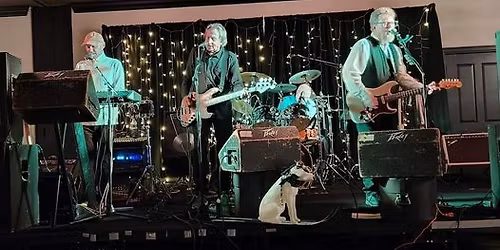 Dogs On Skis at Rock The Block - Newbo City Market - Cedar Rapids, Ia.