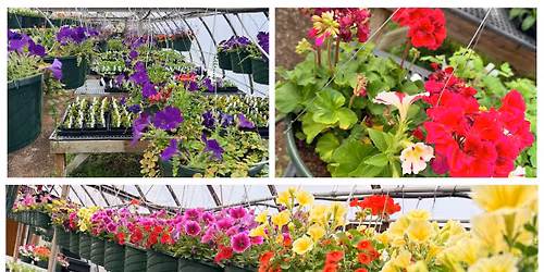 Battle Ground Plant Sale