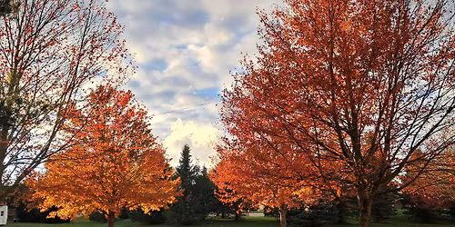 November Free Community Exchange 