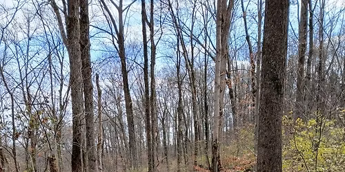 Trail Maintenance Trail 2